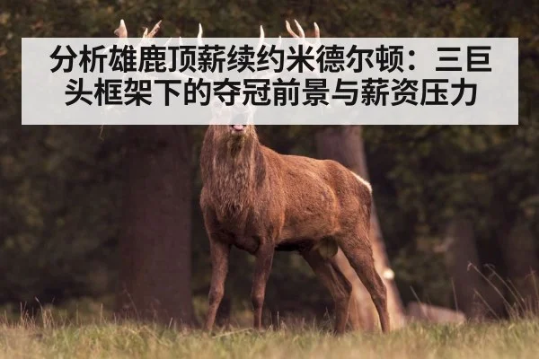 分析雄鹿顶薪续约米德尔顿：三巨头框架下的夺冠前景与薪资压力